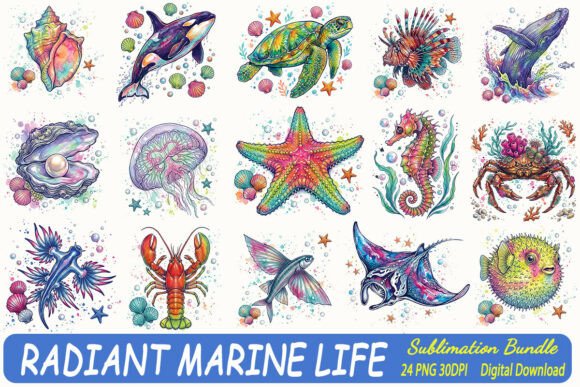 Download Radiant Marine Life Summer Sublimation - Marine life Collection